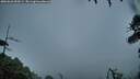 ./images/calvert/fitz-hugh-hecate/20260626/fitz-hugh-hecate20260626_050501M.jpg