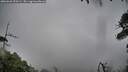 ./images/calvert/fitz-hugh-hecate/20260626/fitz-hugh-hecate20260626_070502M.jpg