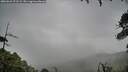 ./images/calvert/fitz-hugh-hecate/20260626/fitz-hugh-hecate20260626_072502M.jpg