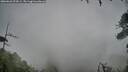 ./images/calvert/fitz-hugh-hecate/20260626/fitz-hugh-hecate20260626_074501M.jpg