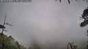 ./images/calvert/fitz-hugh-hecate/20260626/fitz-hugh-hecate20260626_080001M.jpg