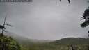 ./images/calvert/fitz-hugh-hecate/20260626/fitz-hugh-hecate20260626_084001M.jpg