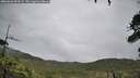 ./images/calvert/fitz-hugh-hecate/20260626/fitz-hugh-hecate20260626_093502M.jpg