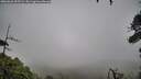 ./images/calvert/fitz-hugh-hecate/20260626/fitz-hugh-hecate20260626_095501M.jpg