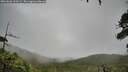 ./images/calvert/fitz-hugh-hecate/20260626/fitz-hugh-hecate20260626_110501M.jpg