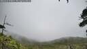 ./images/calvert/fitz-hugh-hecate/20260626/fitz-hugh-hecate20260626_113002M.jpg