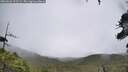 ./images/calvert/fitz-hugh-hecate/20260626/fitz-hugh-hecate20260626_123501M.jpg
