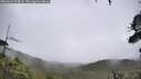 ./images/calvert/fitz-hugh-hecate/20260626/fitz-hugh-hecate20260626_124002M.jpg