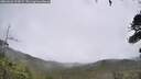 ./images/calvert/fitz-hugh-hecate/20260626/fitz-hugh-hecate20260626_124501M.jpg