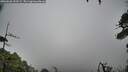 ./images/calvert/fitz-hugh-hecate/20260626/fitz-hugh-hecate20260626_133501M.jpg