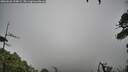 ./images/calvert/fitz-hugh-hecate/20260626/fitz-hugh-hecate20260626_134001M.jpg
