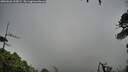 ./images/calvert/fitz-hugh-hecate/20260626/fitz-hugh-hecate20260626_135001M.jpg