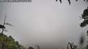 ./images/calvert/fitz-hugh-hecate/20260626/fitz-hugh-hecate20260626_145001M.jpg