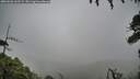 ./images/calvert/fitz-hugh-hecate/20260626/fitz-hugh-hecate20260626_162502M.jpg
