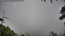./images/calvert/fitz-hugh-hecate/20260626/fitz-hugh-hecate20260626_181001M.jpg