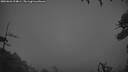 ./images/calvert/fitz-hugh-hecate/20260626/fitz-hugh-hecate20260626_224001M.jpg