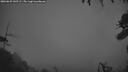 ./images/calvert/fitz-hugh-hecate/20260627/fitz-hugh-hecate20260627_043501M.jpg