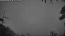 ./images/calvert/fitz-hugh-hecate/20260627/fitz-hugh-hecate20260627_044002M.jpg