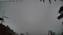 ./images/calvert/fitz-hugh-hecate/20260627/fitz-hugh-hecate20260627_045501M.jpg