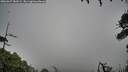 ./images/calvert/fitz-hugh-hecate/20260627/fitz-hugh-hecate20260627_083501M.jpg