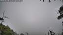 ./images/calvert/fitz-hugh-hecate/20260627/fitz-hugh-hecate20260627_100001M.jpg