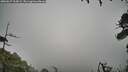 ./images/calvert/fitz-hugh-hecate/20260627/fitz-hugh-hecate20260627_103002M.jpg