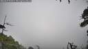 ./images/calvert/fitz-hugh-hecate/20260627/fitz-hugh-hecate20260627_121001M.jpg