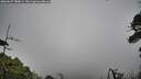 ./images/calvert/fitz-hugh-hecate/20260627/fitz-hugh-hecate20260627_180001M.jpg