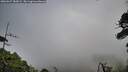 ./images/calvert/fitz-hugh-hecate/20260627/fitz-hugh-hecate20260627_184501M.jpg