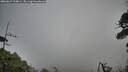 ./images/calvert/fitz-hugh-hecate/20260627/fitz-hugh-hecate20260627_194001M.jpg