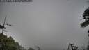 ./images/calvert/fitz-hugh-hecate/20260627/fitz-hugh-hecate20260627_195502M.jpg