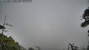 ./images/calvert/fitz-hugh-hecate/20260627/fitz-hugh-hecate20260627_200001M.jpg