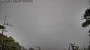 ./images/calvert/fitz-hugh-hecate/20260627/fitz-hugh-hecate20260627_203001M.jpg