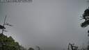 ./images/calvert/fitz-hugh-hecate/20260627/fitz-hugh-hecate20260627_212501M.jpg