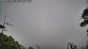./images/calvert/fitz-hugh-hecate/20260627/fitz-hugh-hecate20260627_214502M.jpg