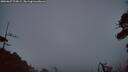 ./images/calvert/fitz-hugh-hecate/20260627/fitz-hugh-hecate20260627_223002M.jpg