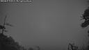 ./images/calvert/fitz-hugh-hecate/20260627/fitz-hugh-hecate20260627_224501M.jpg