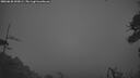 ./images/calvert/fitz-hugh-hecate/20260628/fitz-hugh-hecate20260628_043001M.jpg