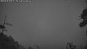 ./images/calvert/fitz-hugh-hecate/20260628/fitz-hugh-hecate20260628_043501M.jpg
