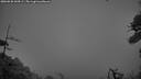 ./images/calvert/fitz-hugh-hecate/20260628/fitz-hugh-hecate20260628_044501M.jpg