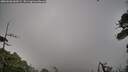 ./images/calvert/fitz-hugh-hecate/20260628/fitz-hugh-hecate20260628_060501M.jpg