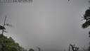 ./images/calvert/fitz-hugh-hecate/20260628/fitz-hugh-hecate20260628_063002M.jpg