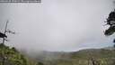 ./images/calvert/fitz-hugh-hecate/20260628/fitz-hugh-hecate20260628_155001M.jpg