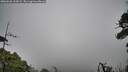 ./images/calvert/fitz-hugh-hecate/20260628/fitz-hugh-hecate20260628_163001M.jpg