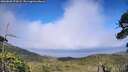 ./images/calvert/fitz-hugh-hecate/20260628/fitz-hugh-hecate20260628_174501M.jpg