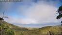 ./images/calvert/fitz-hugh-hecate/20260628/fitz-hugh-hecate20260628_180001M.jpg