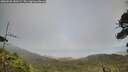 ./images/calvert/fitz-hugh-hecate/20260628/fitz-hugh-hecate20260628_180501M.jpg