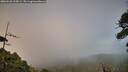 ./images/calvert/fitz-hugh-hecate/20260628/fitz-hugh-hecate20260628_205001M.jpg