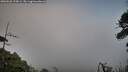 ./images/calvert/fitz-hugh-hecate/20260628/fitz-hugh-hecate20260628_210002M.jpg