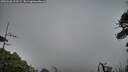 ./images/calvert/fitz-hugh-hecate/20260628/fitz-hugh-hecate20260628_211502M.jpg